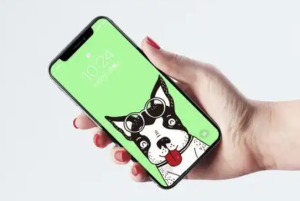 Line好友社交圈软件